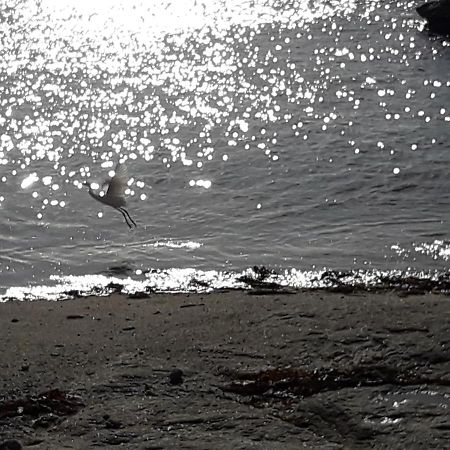 Appartement Proche De La Mer Guilvinec المظهر الخارجي الصورة
